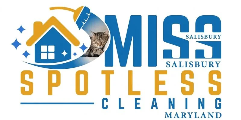 Cat lounging comfortably on a couch in a Salisbury home cleaned with pet safe products